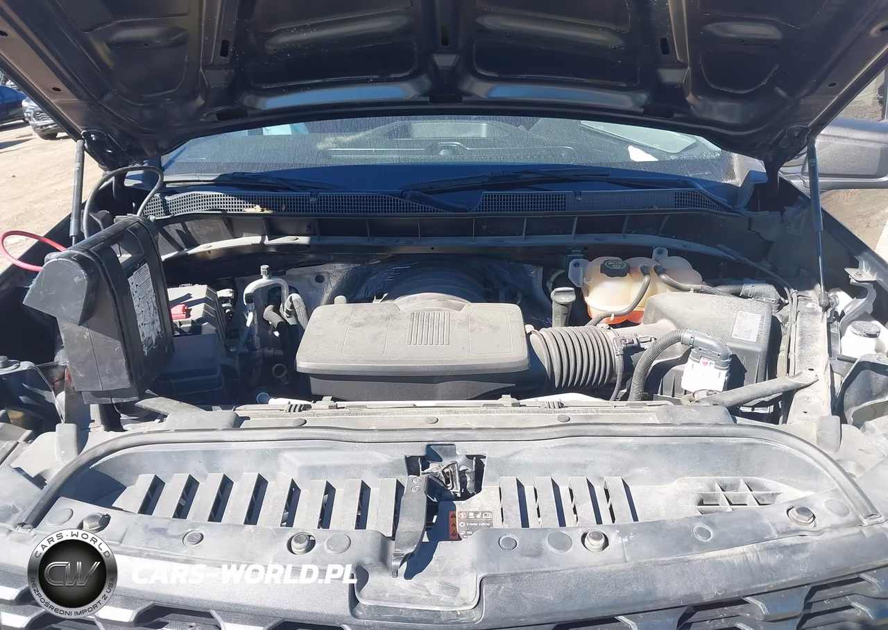 2020 Chevrolet Silverado 1500 4Wd Short Bed Custom Trail Boss VIN:1GCPYCEF0LZ189805 - 10