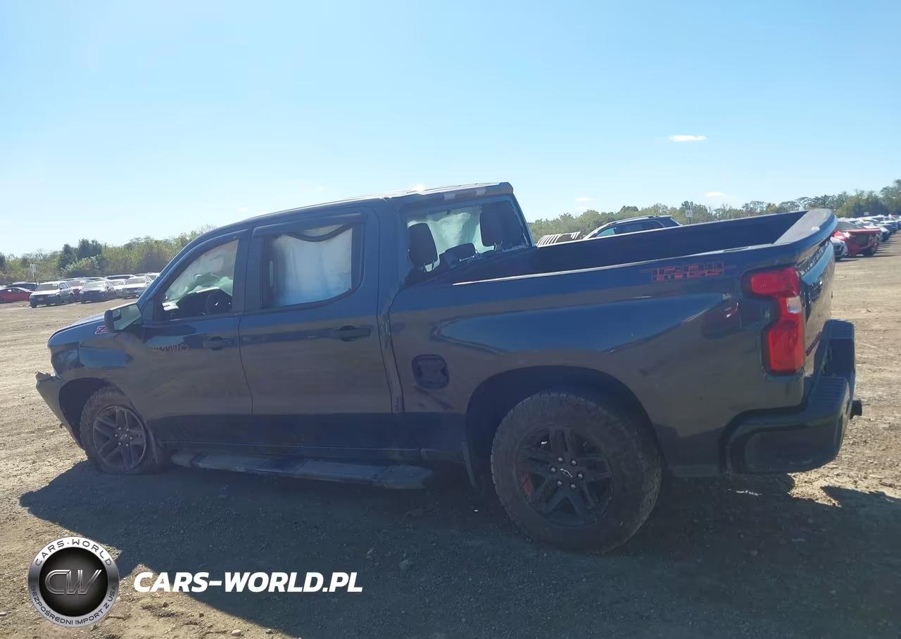 2020 Chevrolet Silverado 1500 4Wd Short Bed Custom Trail Boss VIN:1GCPYCEF0LZ189805 - 14