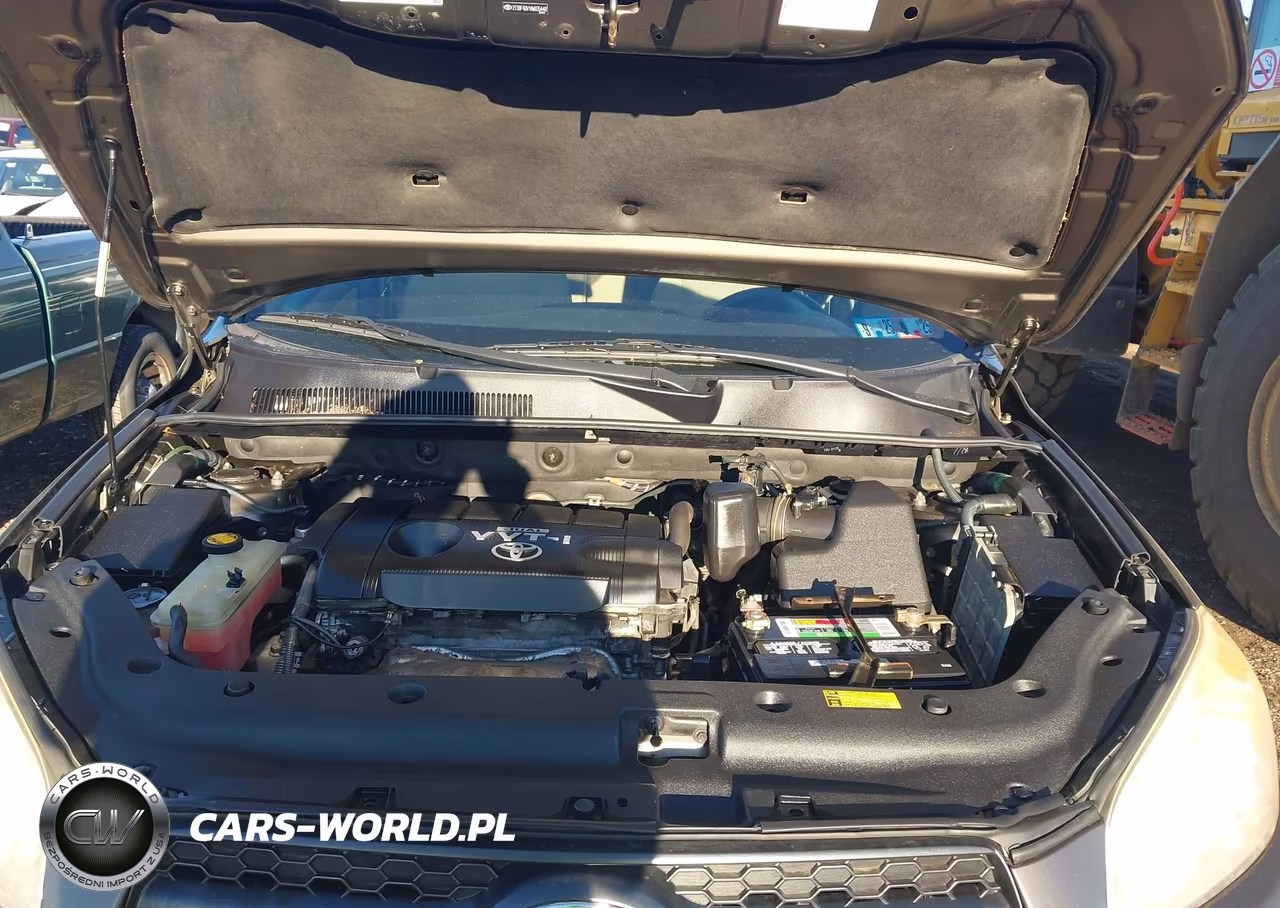 2010 Toyota Rav4 VIN:2T3BF4DV1AW035440 - 10