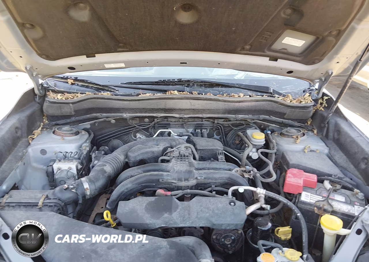 2014 Subaru Forester 2.5I VIN:JF2SJAAC5EH518331 - 10
