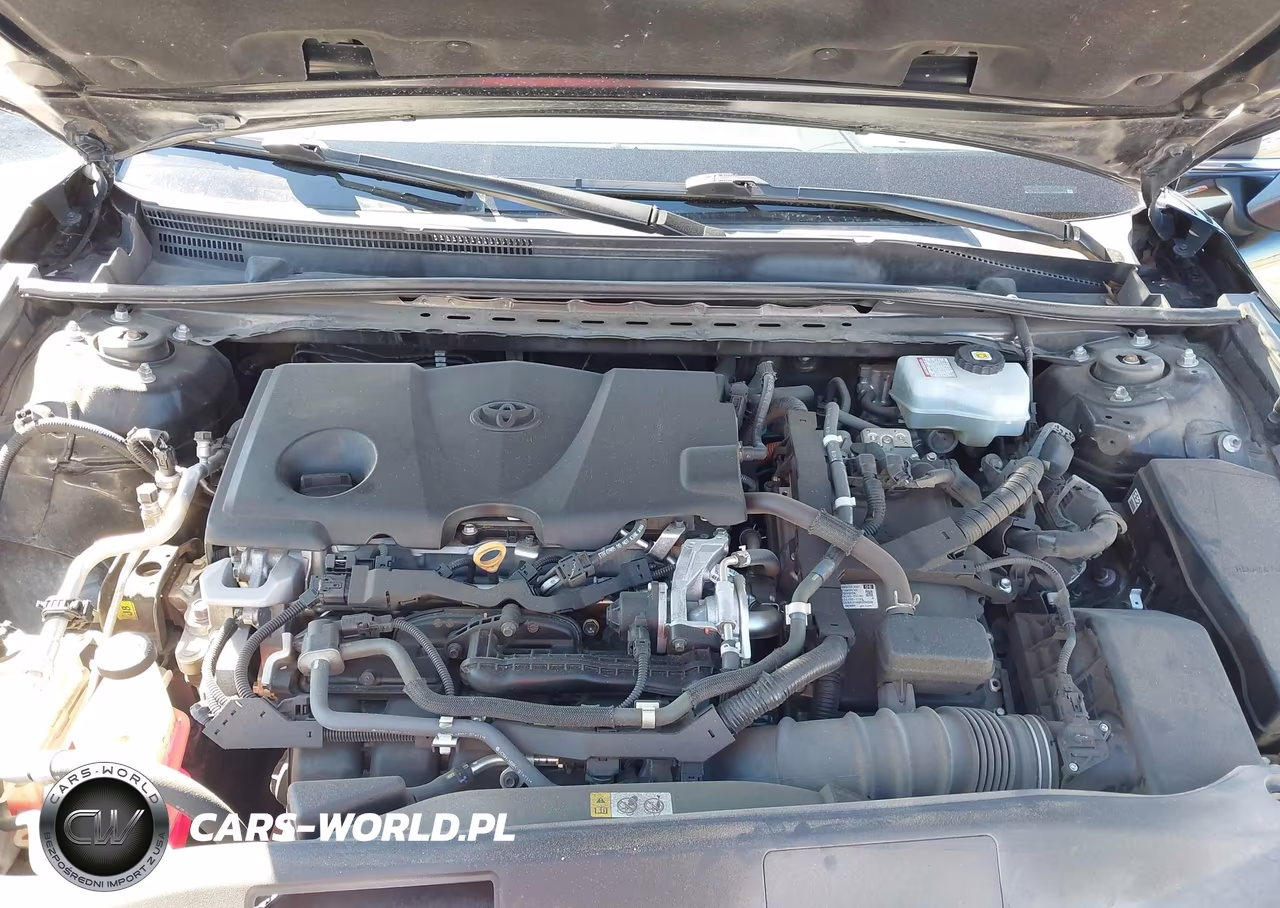 2020 Toyota Camry Se Hybrid VIN:4T1J31AK4LU544818 - 10