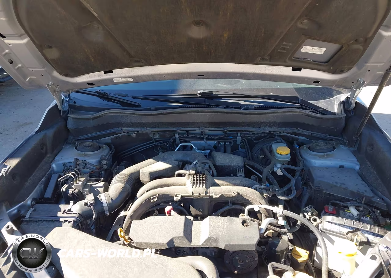 2017 Subaru Forester 2.5I Premium VIN:JF2SJAGC6HH429184 - 10