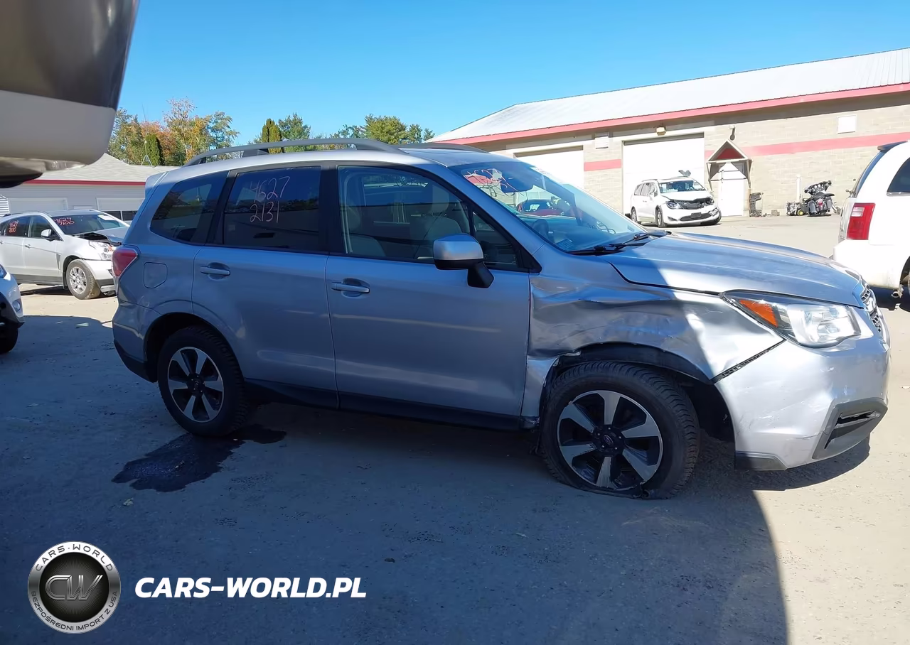 2017 Subaru Forester 2.5I Premium VIN:JF2SJAGC6HH429184 - 12