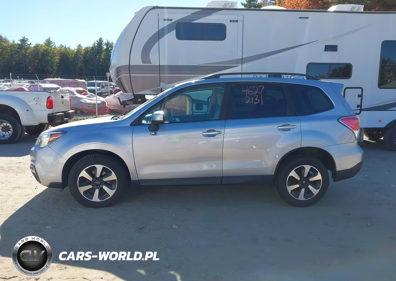 2017 Subaru Forester 2.5I Premium VIN:JF2SJAGC6HH429184 - 13