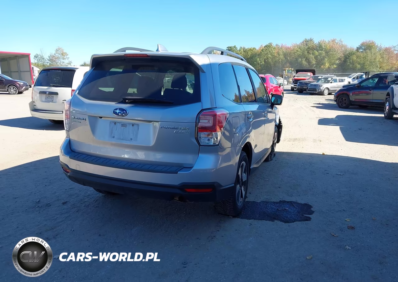 2017 Subaru Forester 2.5I Premium VIN:JF2SJAGC6HH429184 - 4