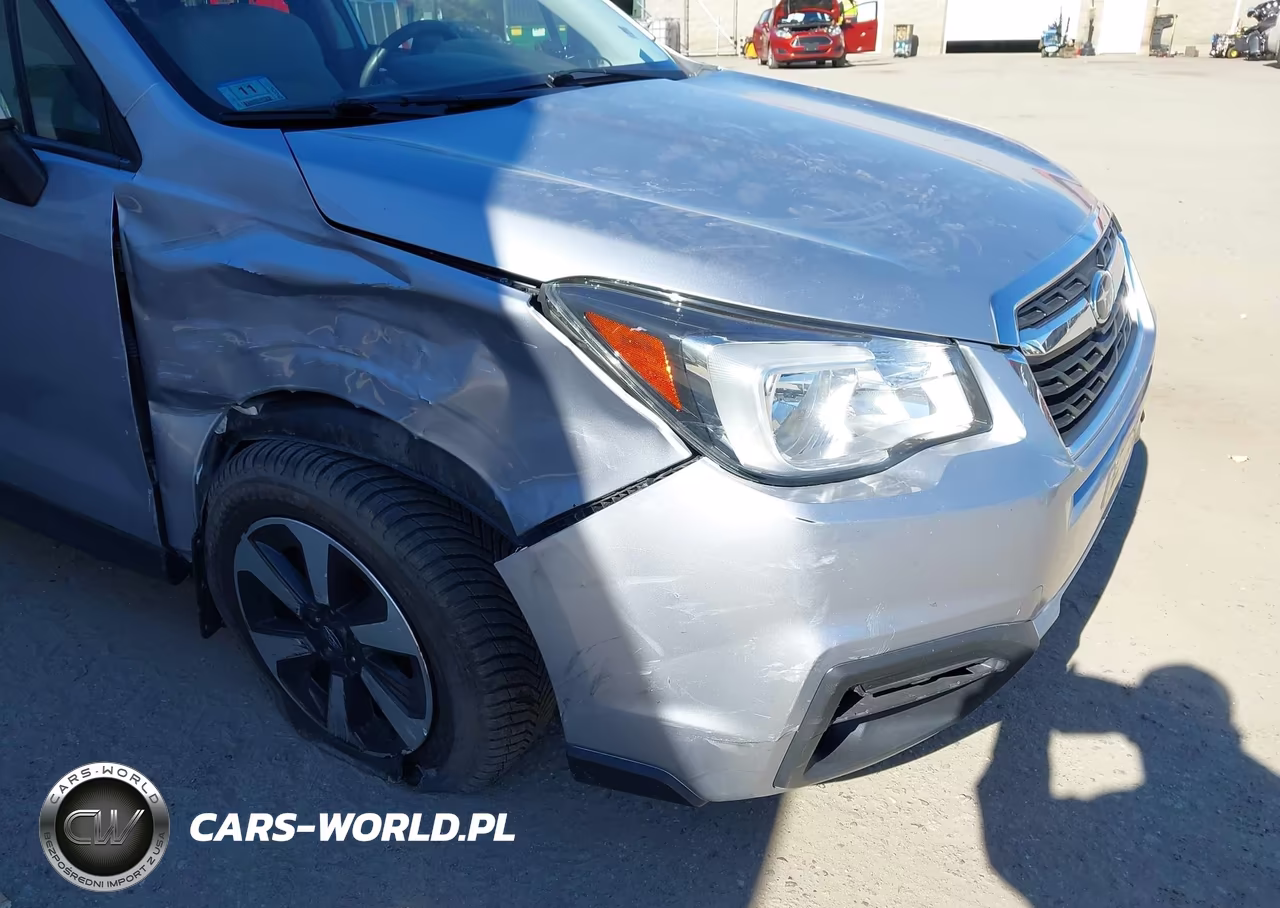 2017 Subaru Forester 2.5I Premium VIN:JF2SJAGC6HH429184 - 6