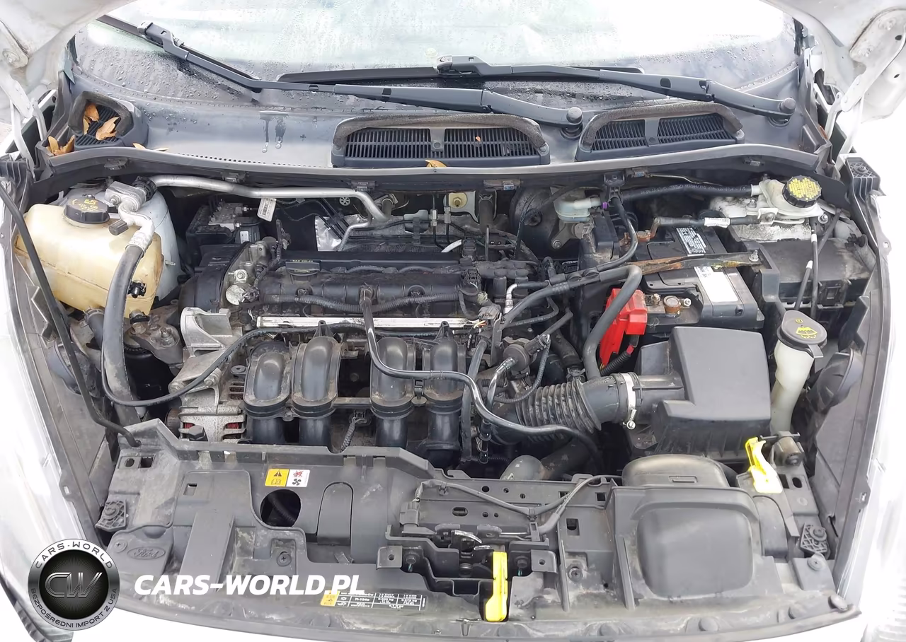 2014 Ford Fiesta Se VIN:3FADP4EJ4EM154291 - 10