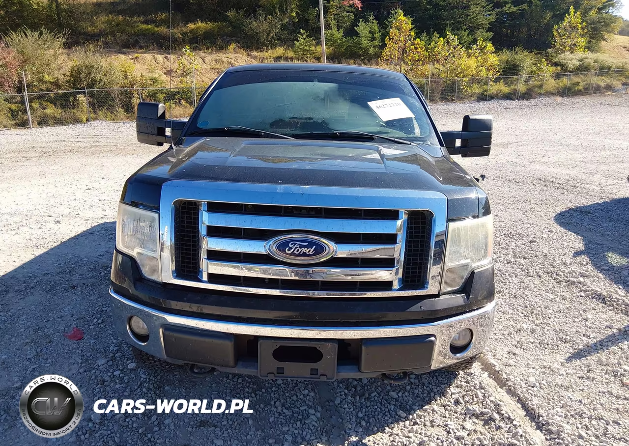 2010 Ford F-150 Fx4-Lariat-Xl-Xlt VIN:1FTFX1EV6AFA02009 - 13