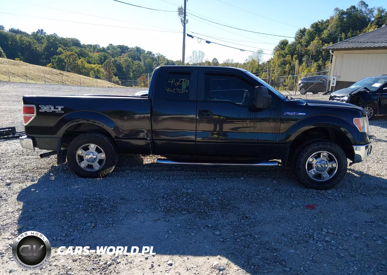 2010 Ford F-150 Fx4-Lariat-Xl-Xlt VIN:1FTFX1EV6AFA02009 - 14