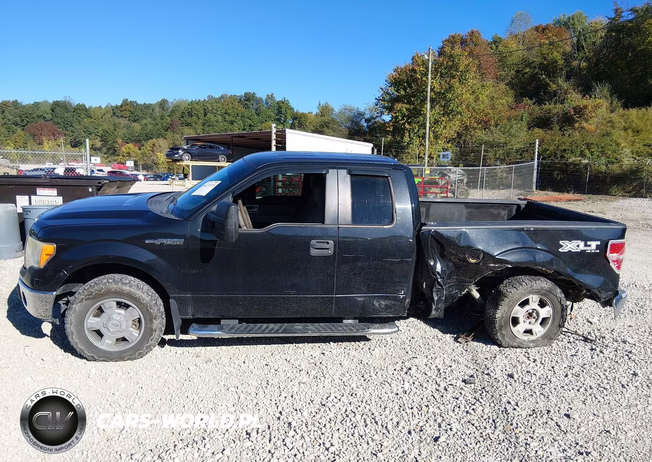 2010 Ford F-150 Fx4-Lariat-Xl-Xlt VIN:1FTFX1EV6AFA02009 - 15