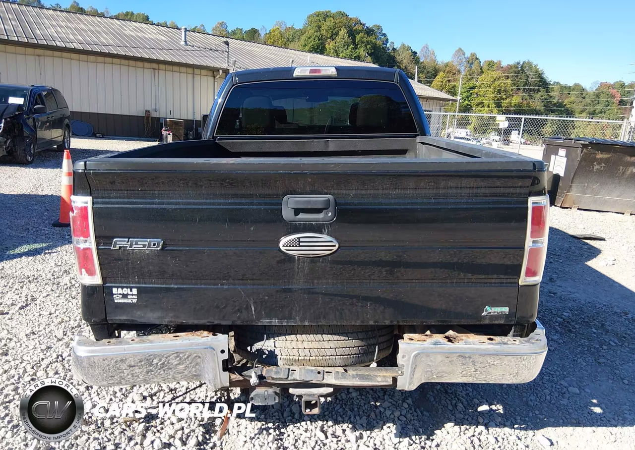 2010 Ford F-150 Fx4-Lariat-Xl-Xlt VIN:1FTFX1EV6AFA02009 - 17