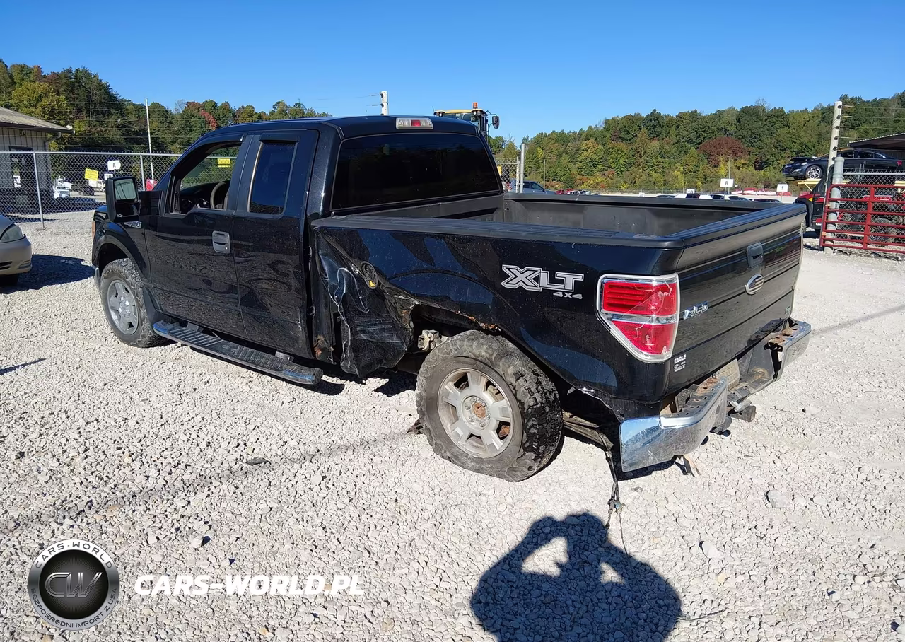 2010 Ford F-150 Fx4-Lariat-Xl-Xlt VIN:1FTFX1EV6AFA02009 - 3