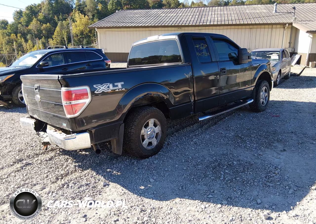 2010 Ford F-150 Fx4-Lariat-Xl-Xlt VIN:1FTFX1EV6AFA02009 - 4