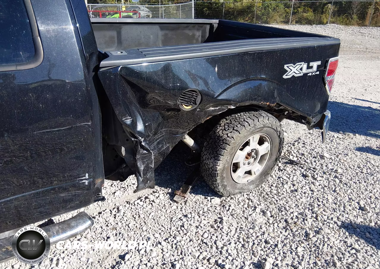 2010 Ford F-150 Fx4-Lariat-Xl-Xlt VIN:1FTFX1EV6AFA02009 - 6