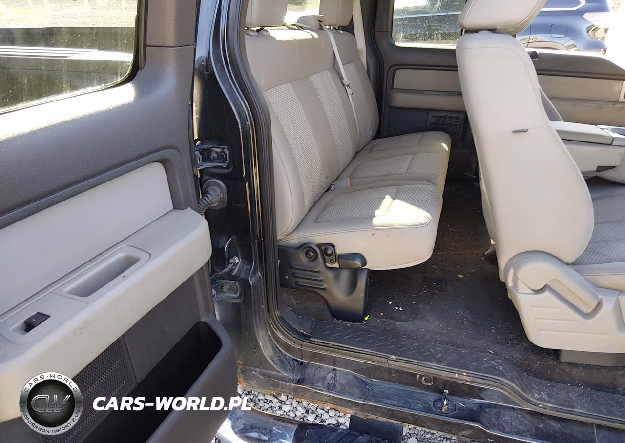 2010 Ford F-150 Fx4-Lariat-Xl-Xlt VIN:1FTFX1EV6AFA02009 - 8