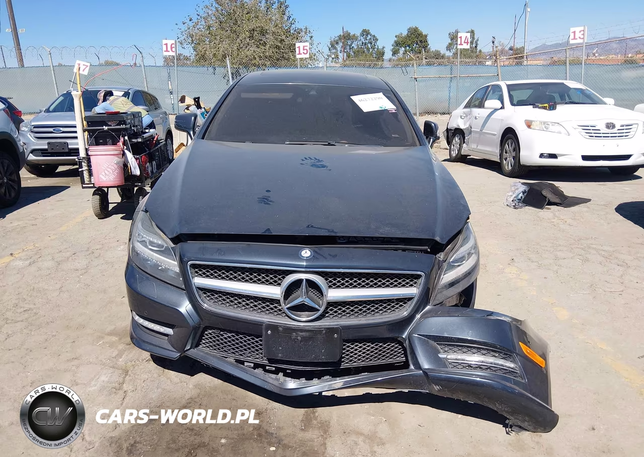 2014 Mercedes-Benz Cls 550 VIN:WDDLJ7DB9EA102273 - 12