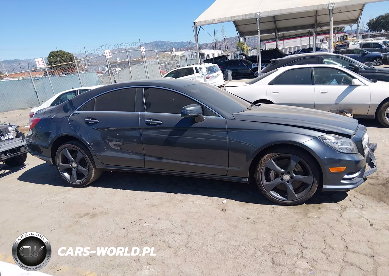 2014 Mercedes-Benz Cls 550 VIN:WDDLJ7DB9EA102273 - 13