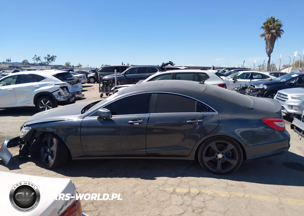 2014 Mercedes-Benz Cls 550 VIN:WDDLJ7DB9EA102273 - 14