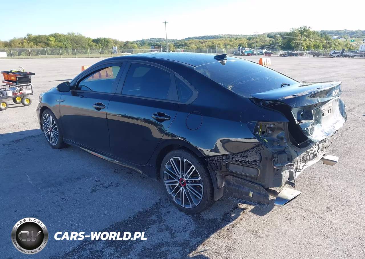 2022 Kia Forte Gt VIN:3KPF44AC7NE463590 - 3