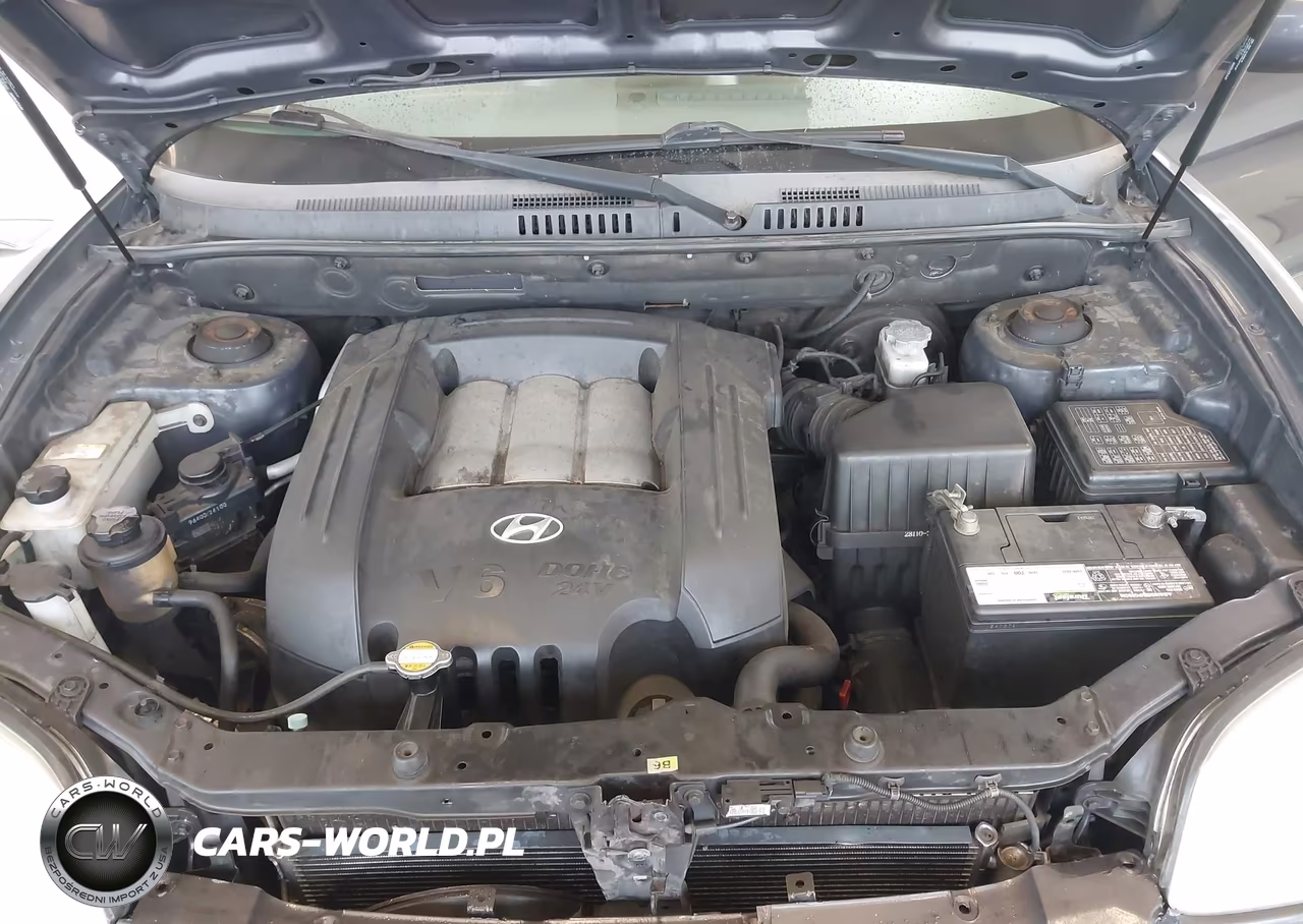 2006 Hyundai Santa Fe Gls VIN:KM8SC13D16U107818 - 10