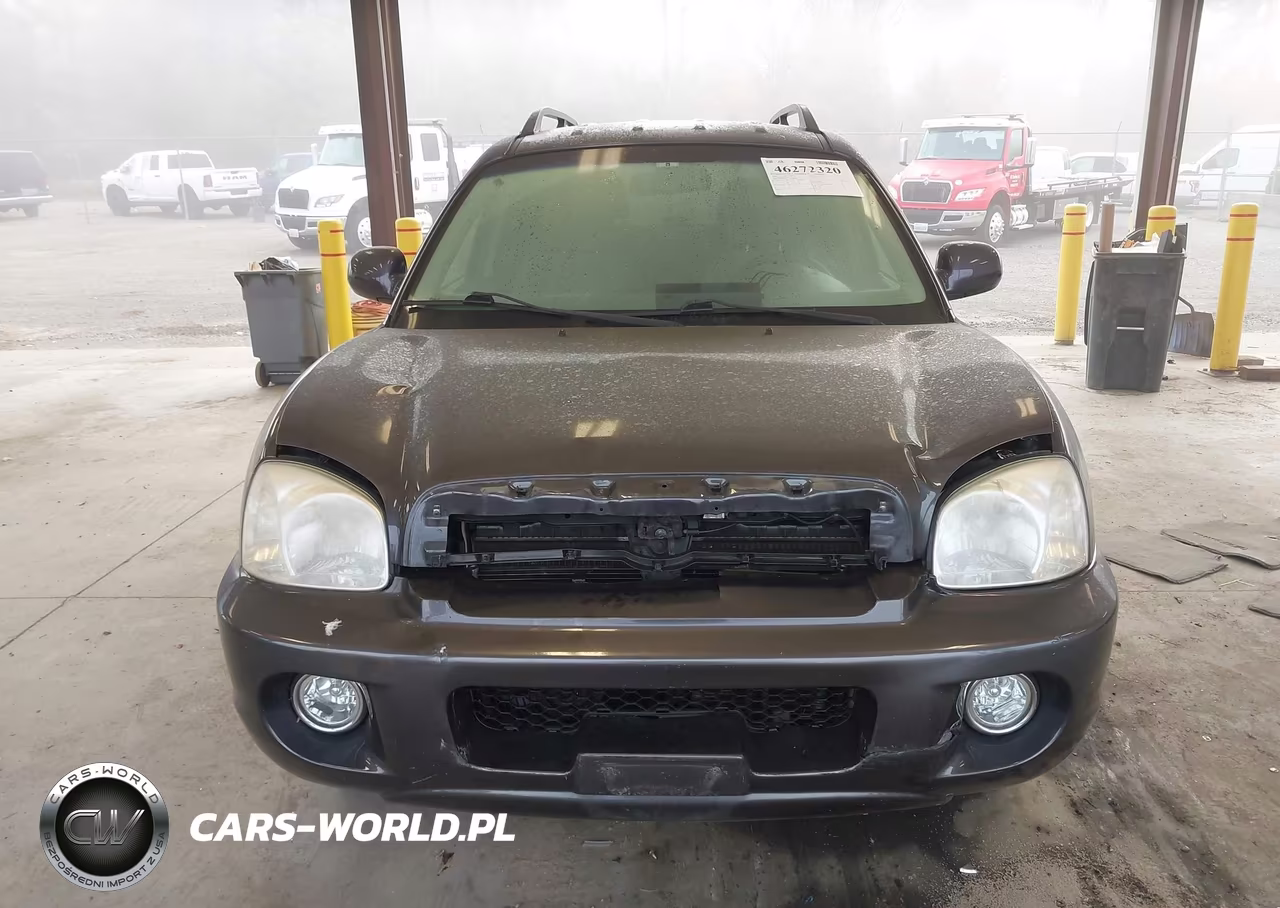 2006 Hyundai Santa Fe Gls VIN:KM8SC13D16U107818 - 12