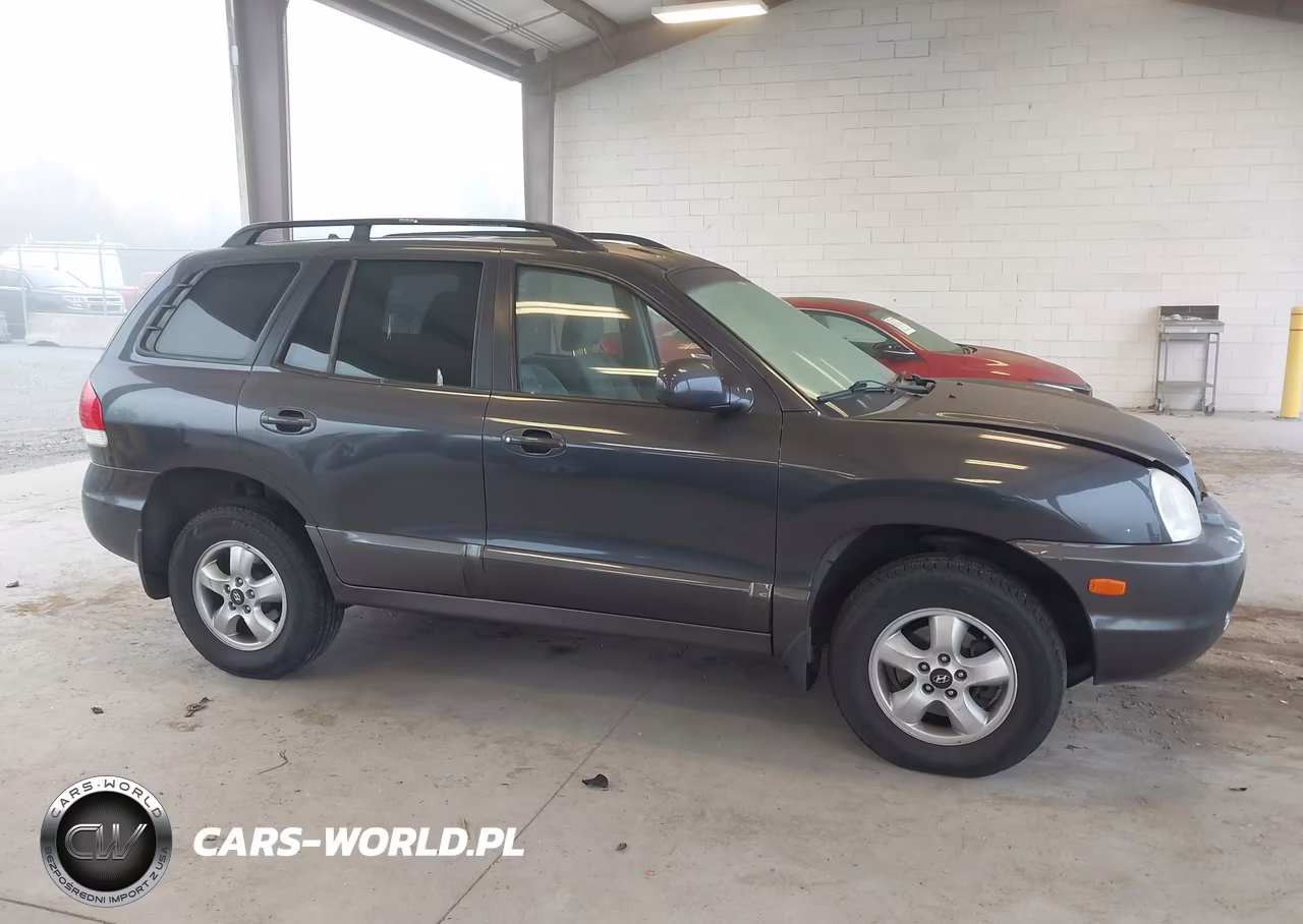 2006 Hyundai Santa Fe Gls VIN:KM8SC13D16U107818 - 13