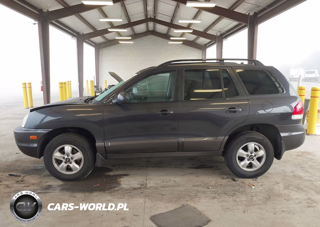 2006 Hyundai Santa Fe Gls VIN:KM8SC13D16U107818 - 14