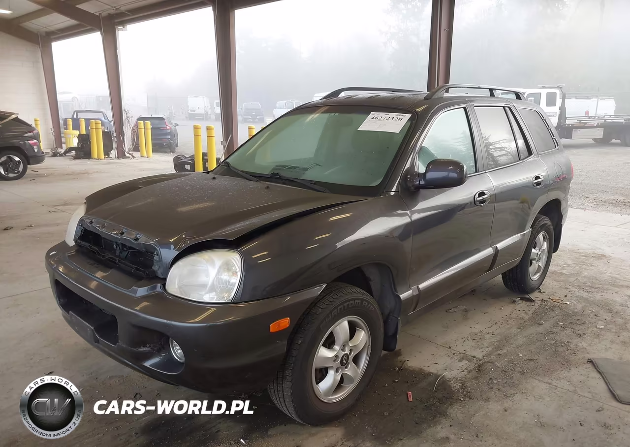 2006 Hyundai Santa Fe Gls VIN:KM8SC13D16U107818 - 2