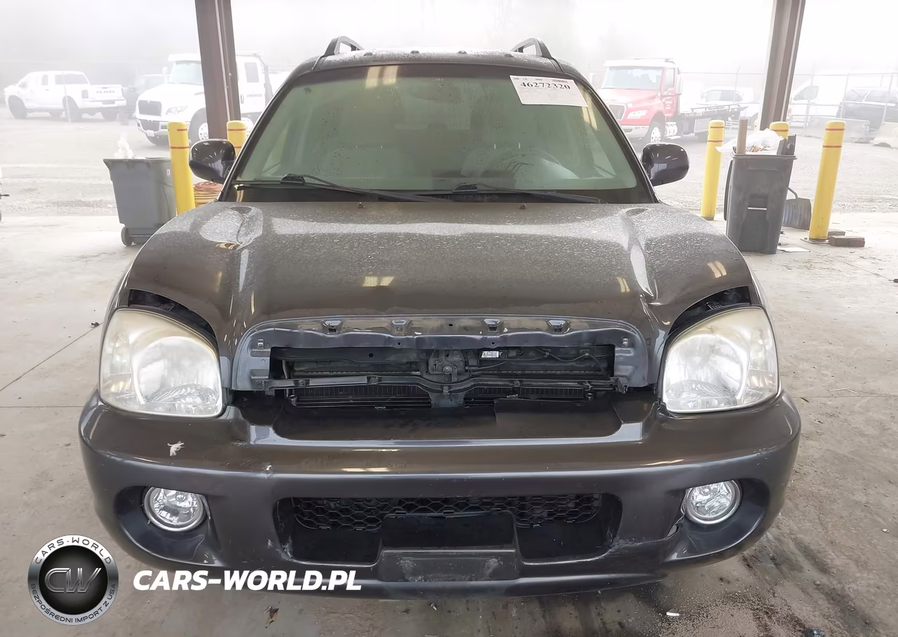 2006 Hyundai Santa Fe Gls VIN:KM8SC13D16U107818 - 6