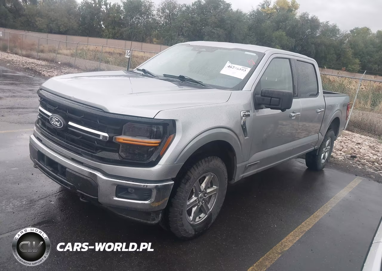 2024 Ford F-150 Xlt VIN:1FTFW3LD6RFB25085 - 2