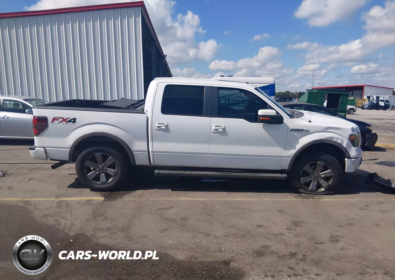2014 Ford F-150 Fx4 VIN:1FTFW1EFXEFC60244 - 13