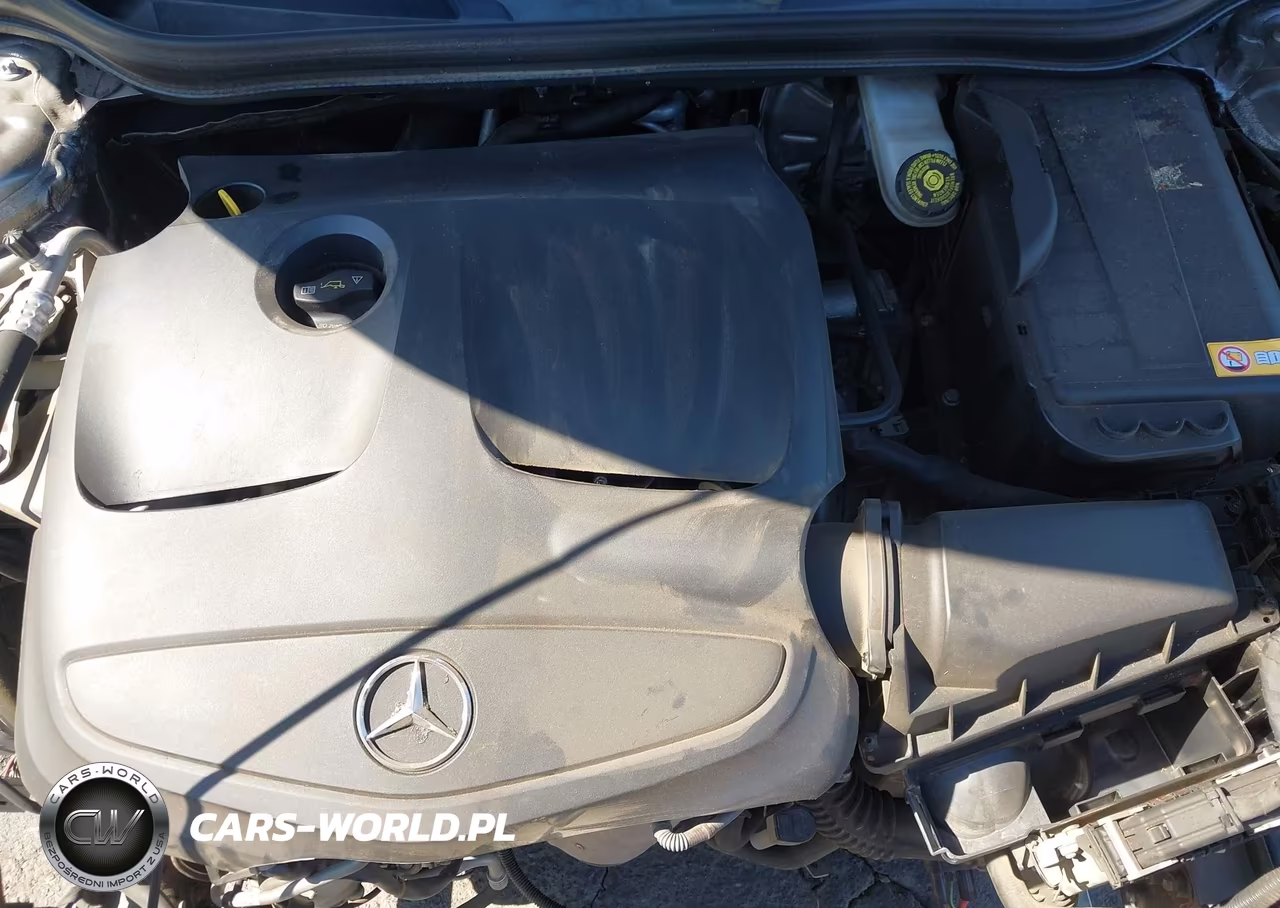 2014 Mercedes-Benz Cla-Class Cla 250 VIN:WDDSJ4GB7EN135853 - 10