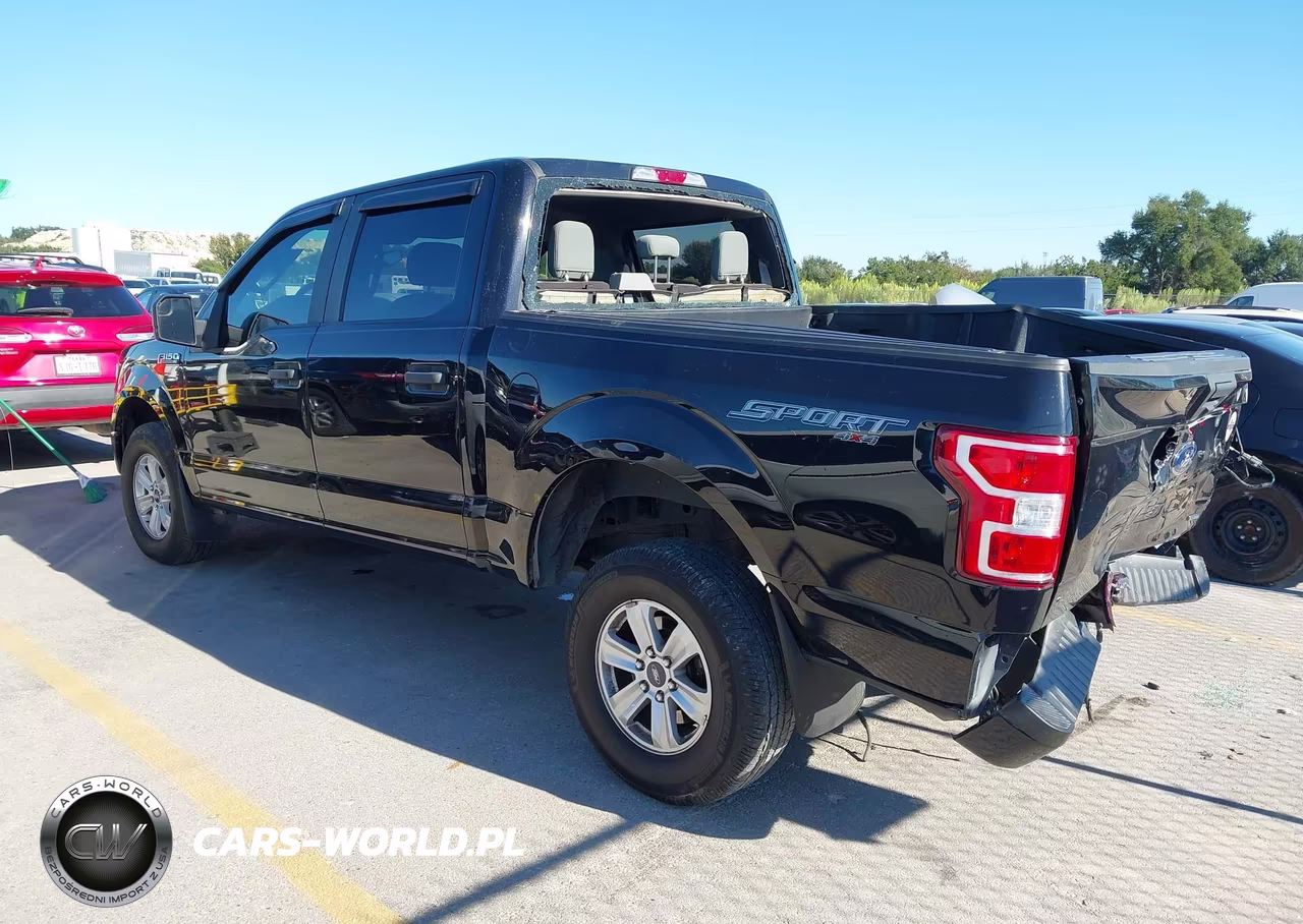 2020 Ford F-150 Xl VIN:1FTEW1E49LFA10579 - 3