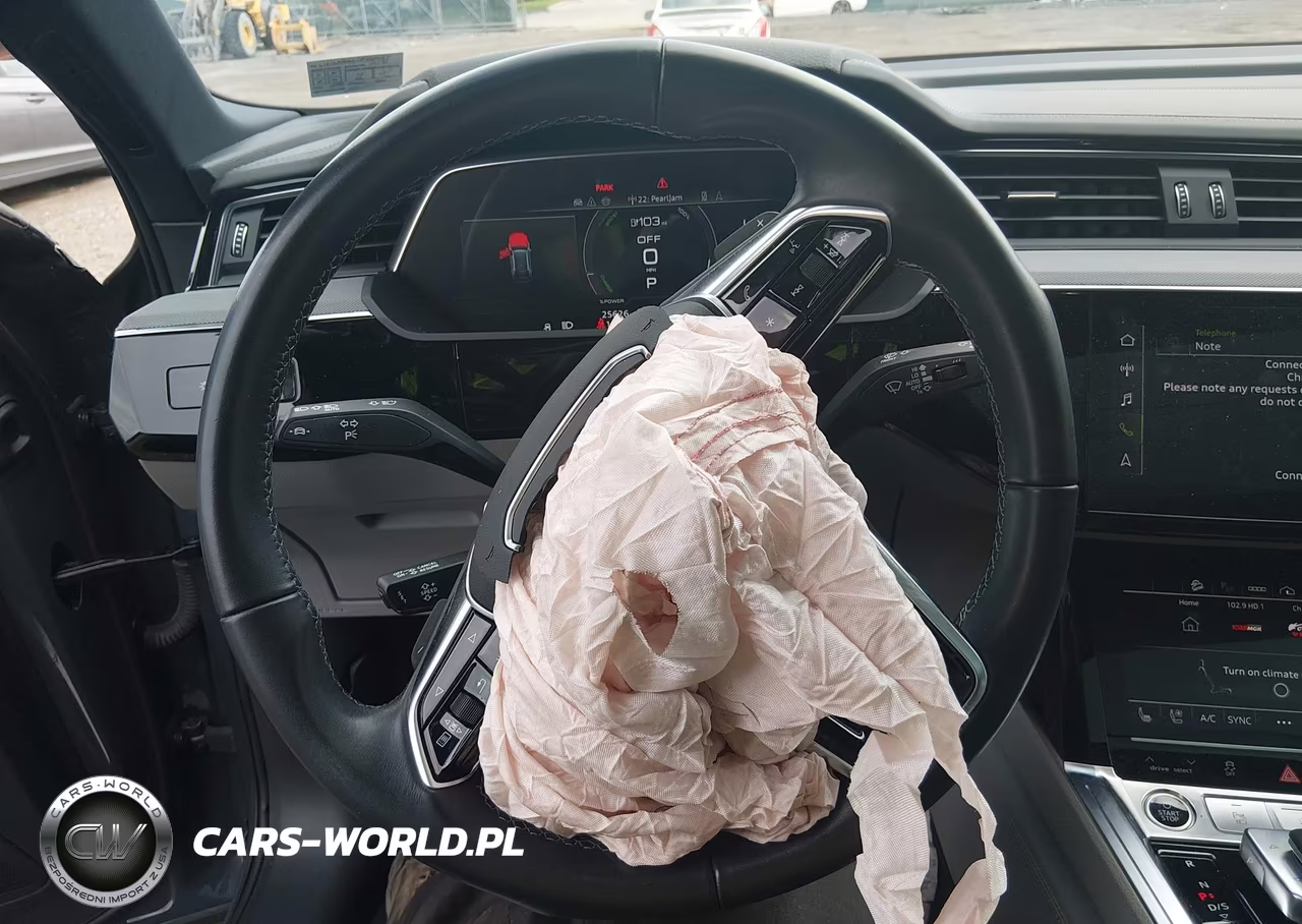 2024 Audi Q8 E-Tron Prestige Quattro VIN:WA16AAGE2RB054264 - 19