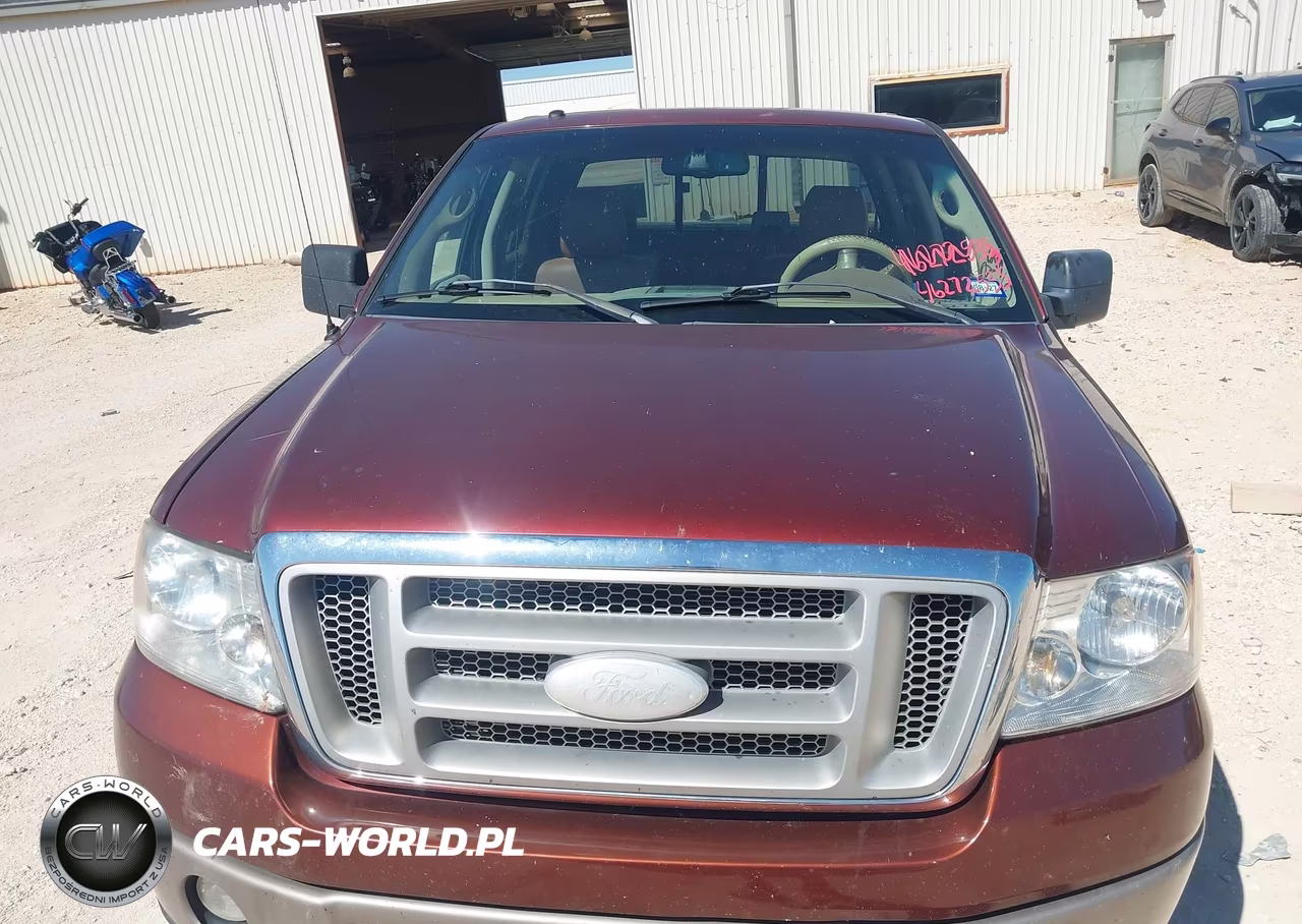 2006 Ford F-150 Fx4-Lariat-Xlt VIN:1FTPW145X6KC31946 - 10