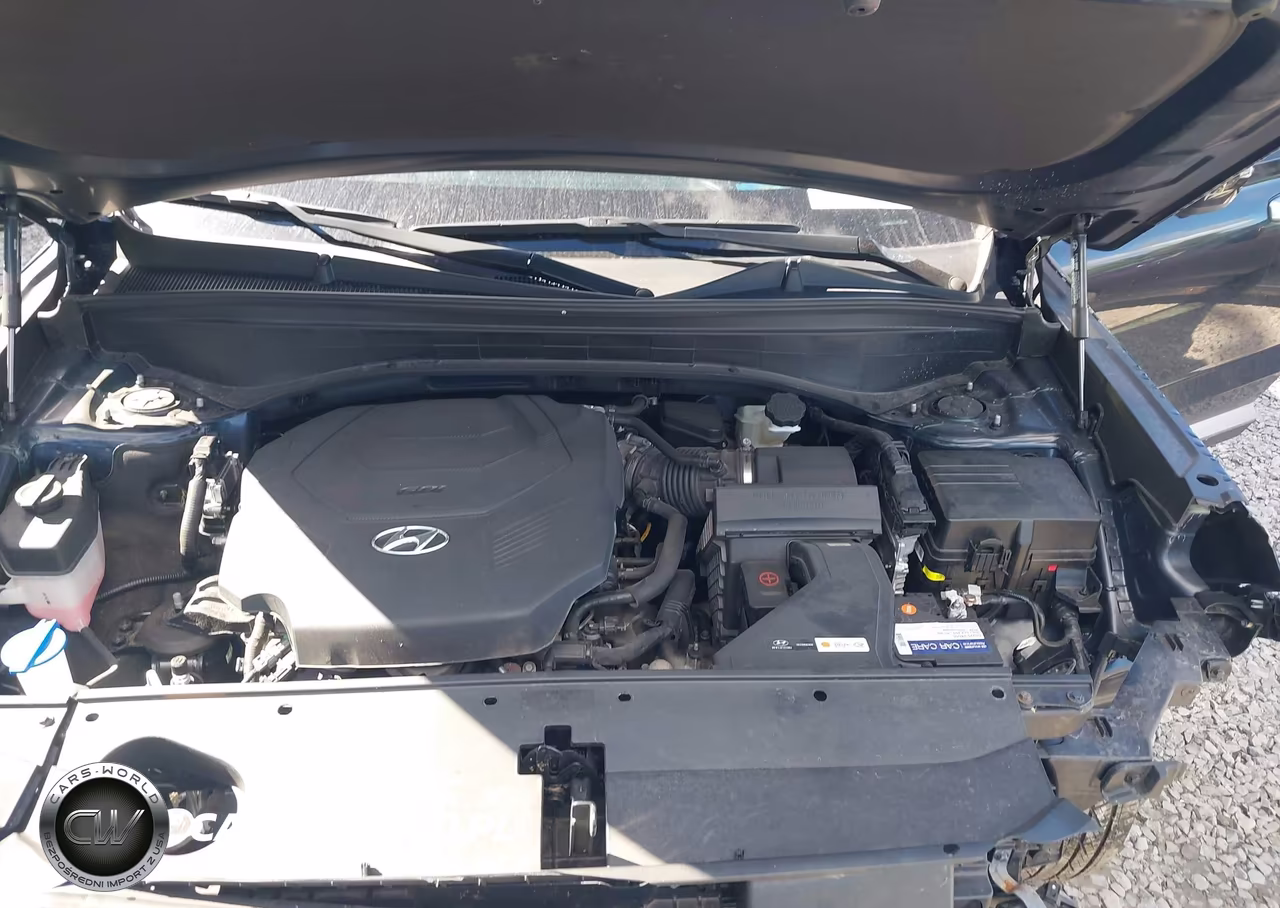 2023 Hyundai Palisade Limited VIN:KM8R5DGE0PU552193 - 10