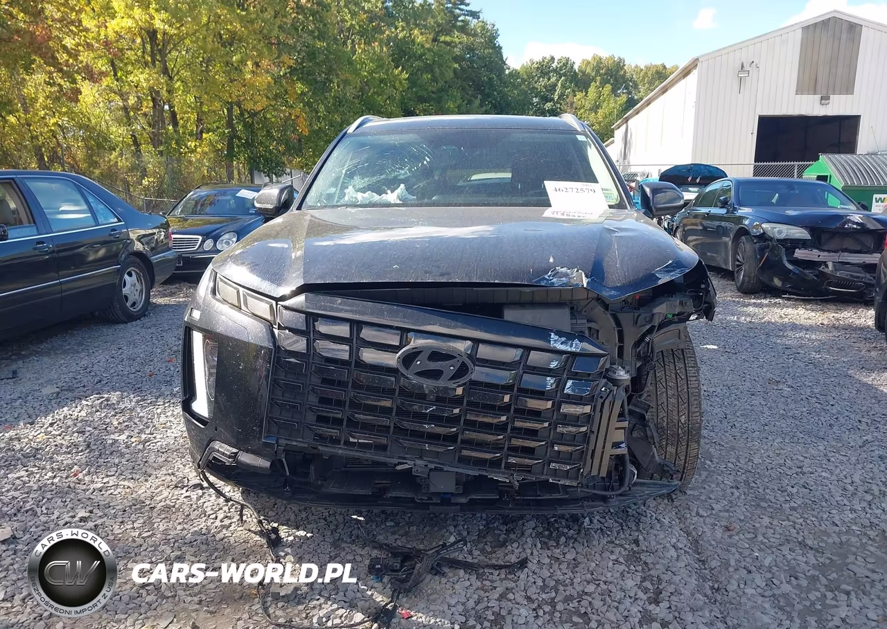 2023 Hyundai Palisade Limited VIN:KM8R5DGE0PU552193 - 12