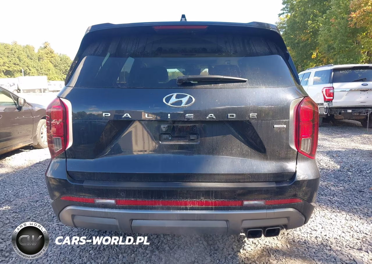2023 Hyundai Palisade Limited VIN:KM8R5DGE0PU552193 - 16