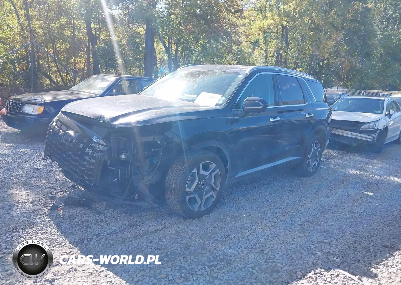 2023 Hyundai Palisade Limited VIN:KM8R5DGE0PU552193 - 2