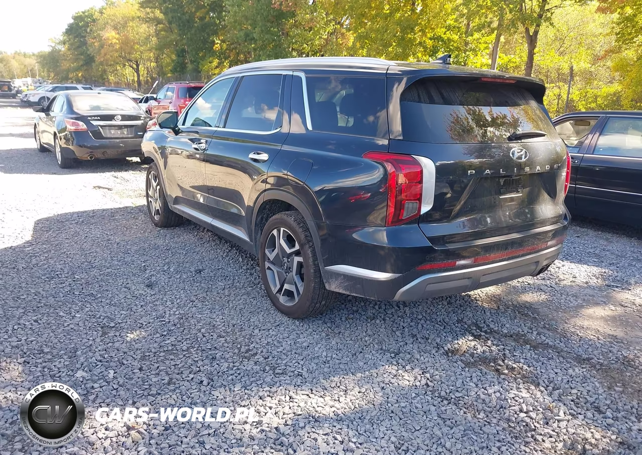 2023 Hyundai Palisade Limited VIN:KM8R5DGE0PU552193 - 3