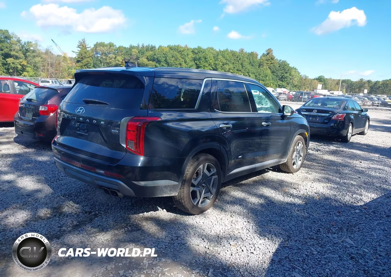 2023 Hyundai Palisade Limited VIN:KM8R5DGE0PU552193 - 4