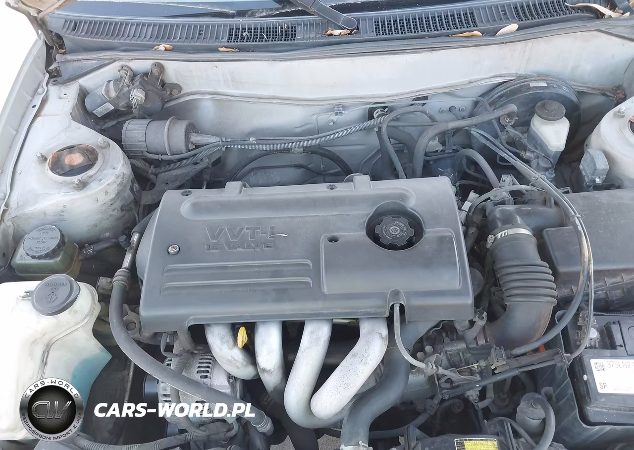 2002 Toyota Corolla Ce VIN:1NXBR12E12Z622241 - 10