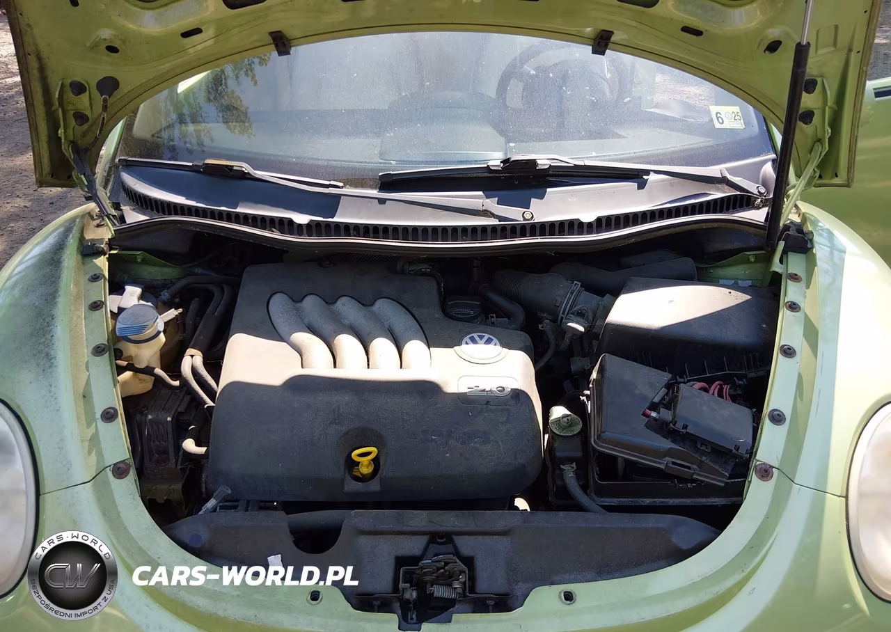 2003 Volkswagen New Beetle Gl VIN:3VWBK21C23M404259 - 10