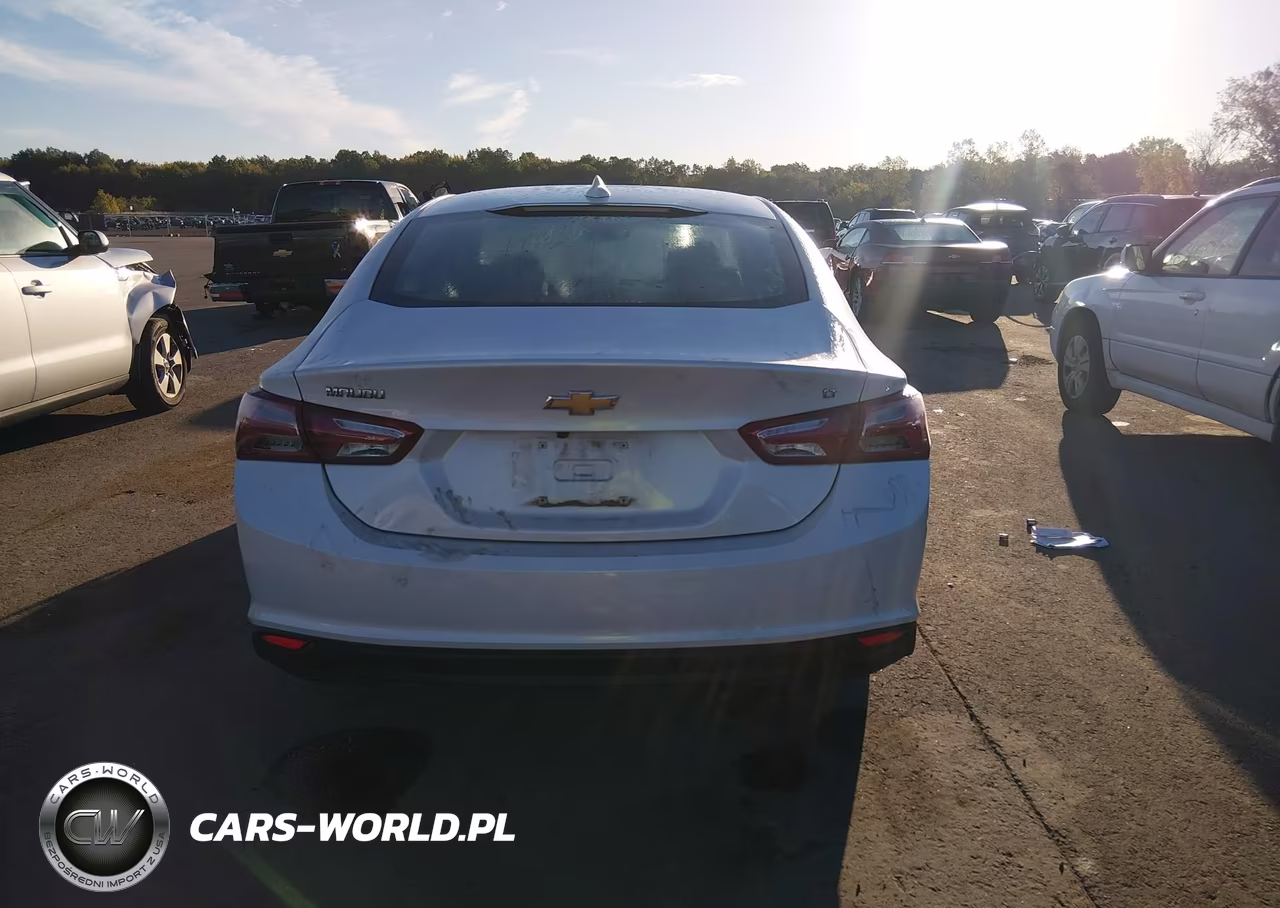 2019 Chevrolet Malibu Lt VIN:1G1ZD5ST5KF222722 - 17