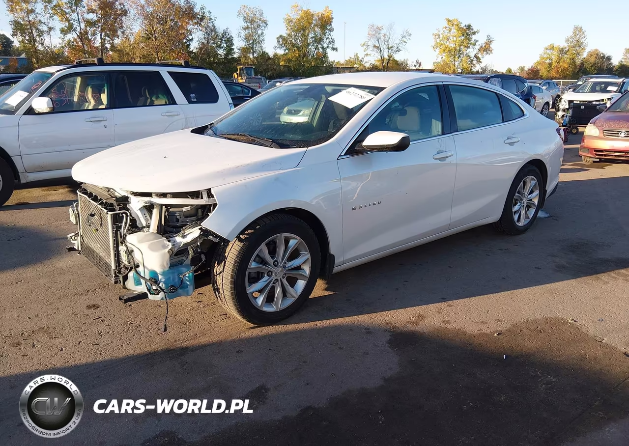 2019 Chevrolet Malibu Lt VIN:1G1ZD5ST5KF222722 - 2