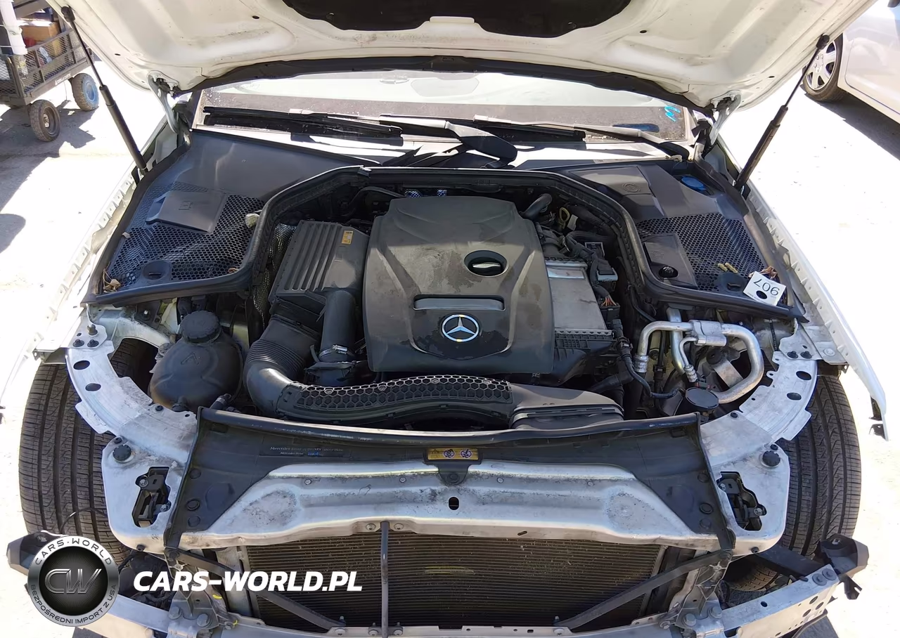 2018 Mercedes-Benz C 300 VIN:55SWF4JB6JU263207 - 10