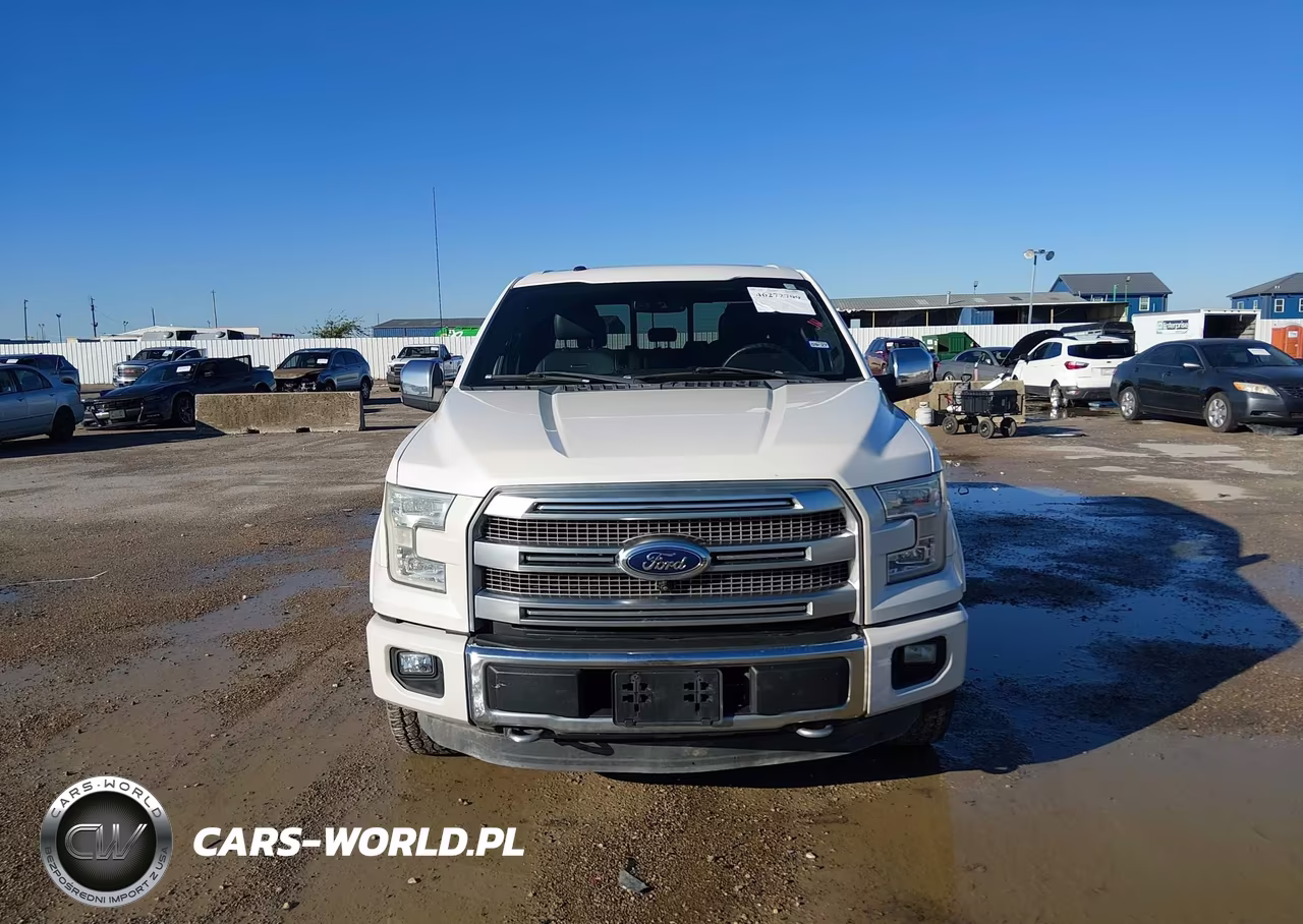 2015 Ford F-150 Platinum VIN:1FTEW1EG1FFB23182 - 12