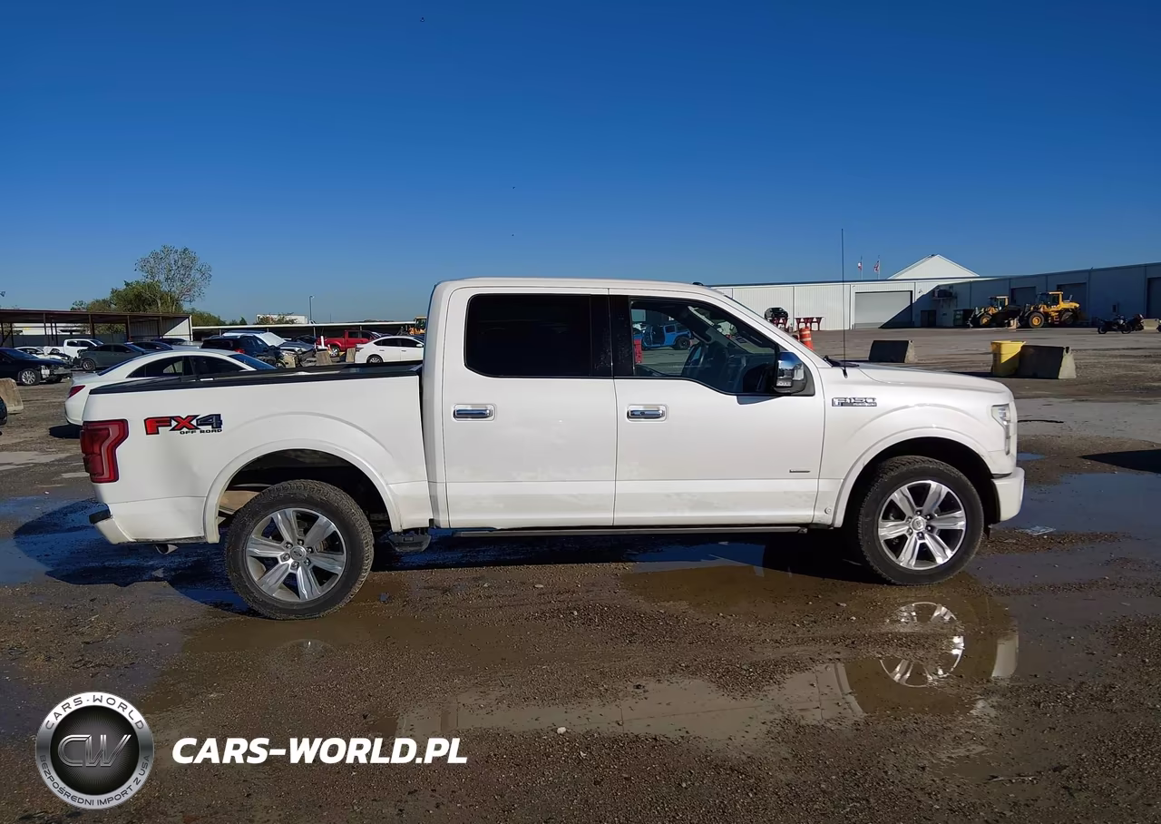 2015 Ford F-150 Platinum VIN:1FTEW1EG1FFB23182 - 13