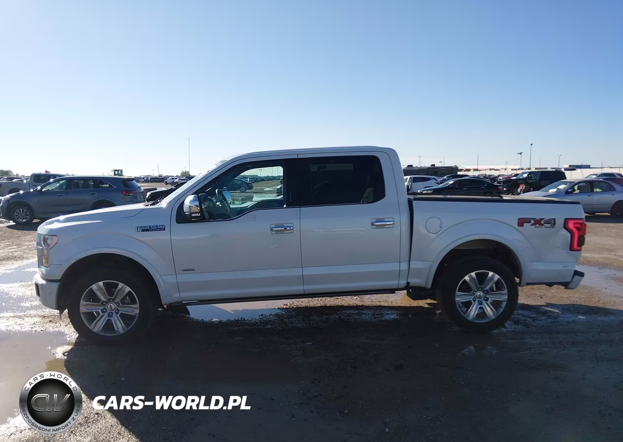 2015 Ford F-150 Platinum VIN:1FTEW1EG1FFB23182 - 14