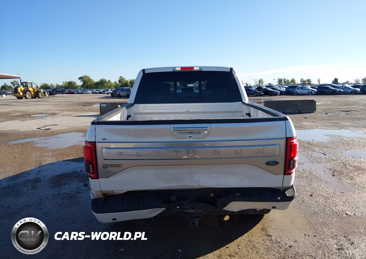 2015 Ford F-150 Platinum VIN:1FTEW1EG1FFB23182 - 16